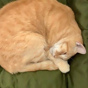 Meet your Posher, Katherine